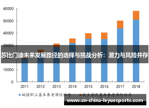 苏比门迪未来发展路径的选择与挑战分析：潜力与风险并存