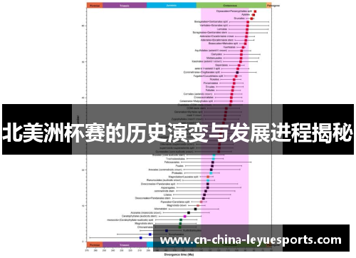 北美洲杯赛的历史演变与发展进程揭秘