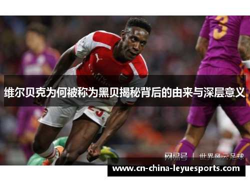 维尔贝克为何被称为黑贝揭秘背后的由来与深层意义 维尔贝克为何被称为黑贝揭秘背后的由来与深层意义