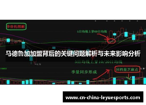 马德鲁加加盟背后的关键问题解析与未来影响分析