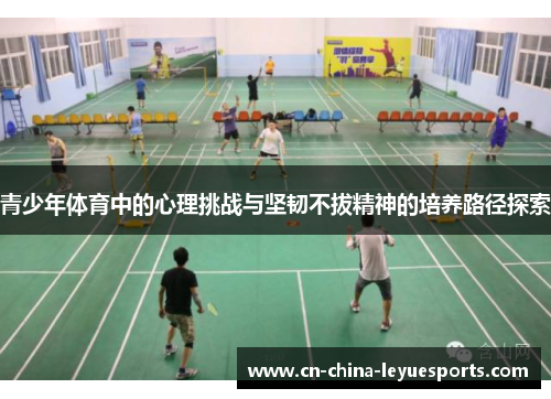 青少年体育中的心理挑战与坚韧不拔精神的培养路径探索 青少年体育中的心理挑战与坚韧不拔精神的培养路径探索