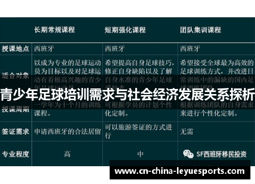 青少年足球培训需求与社会经济发展关系探析 青少年足球培训需求与社会经济发展关系探析
