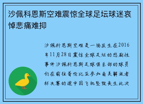 沙佩科恩斯空难震惊全球足坛球迷哀悼悲痛难抑 沙佩科恩斯空难震惊全球足坛球迷哀悼悲痛难抑